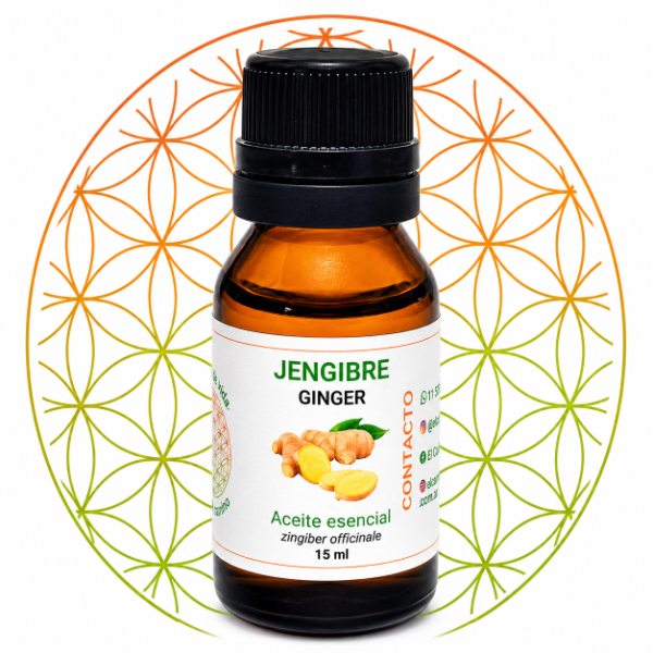 Producto - JENGIBRE AC. ES. .(zingiber officinale)