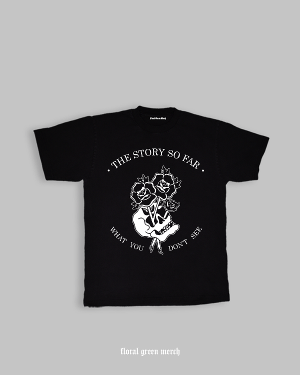 Producto - The Story so Far - what you don't see