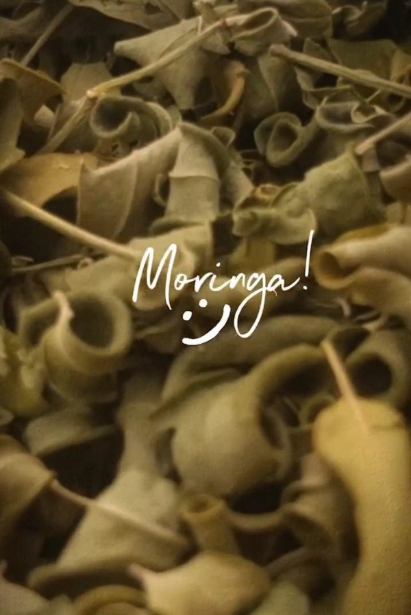 Producto - CON MORINGA