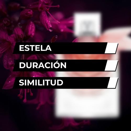 Producto - TIPO LA VIE EST BELLE ABSOLU 55ml