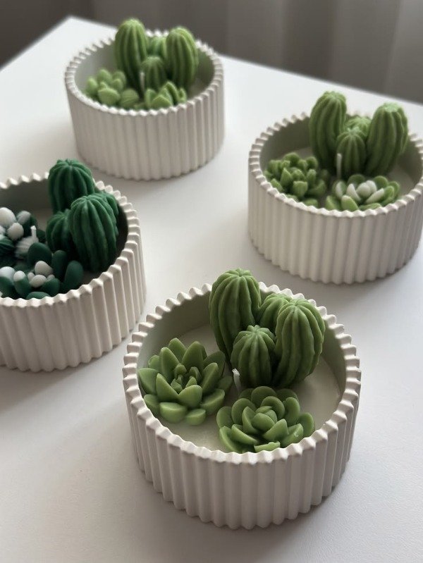 Producto - Mini terrario
