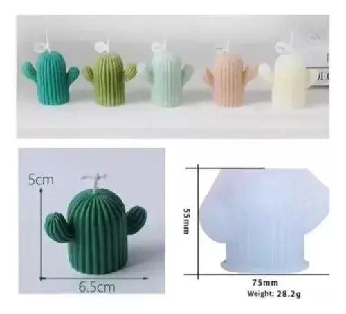 Producto - Cactus - 1