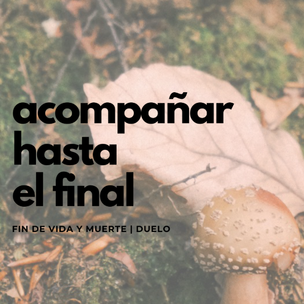 Producto - Acompañamiento en fin de vida y muerte