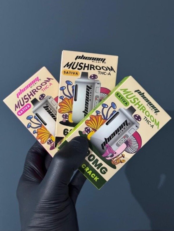 Producto - Phenom mushroom