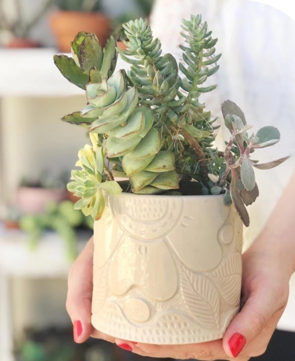 Producto - Maceta Flora