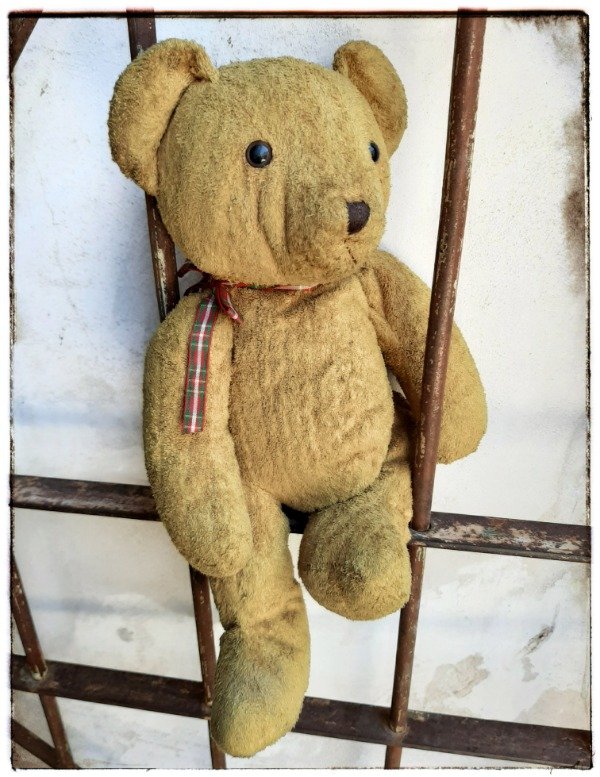 Producto - Antiguo Oso de Peluche