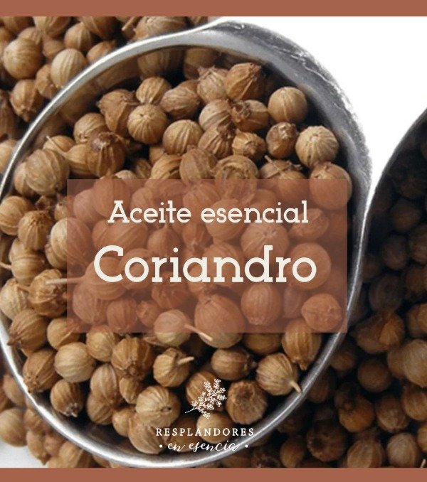 Producto - Aceite esencial Coriandro