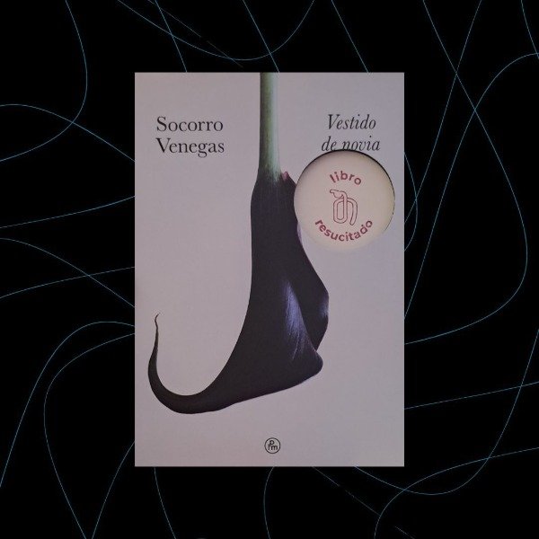 Producto - Vestido de novia, Socorro Venegas (resucitado)