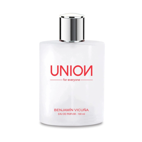 Producto - BENJAMIN VICUÑA UNION X100ML