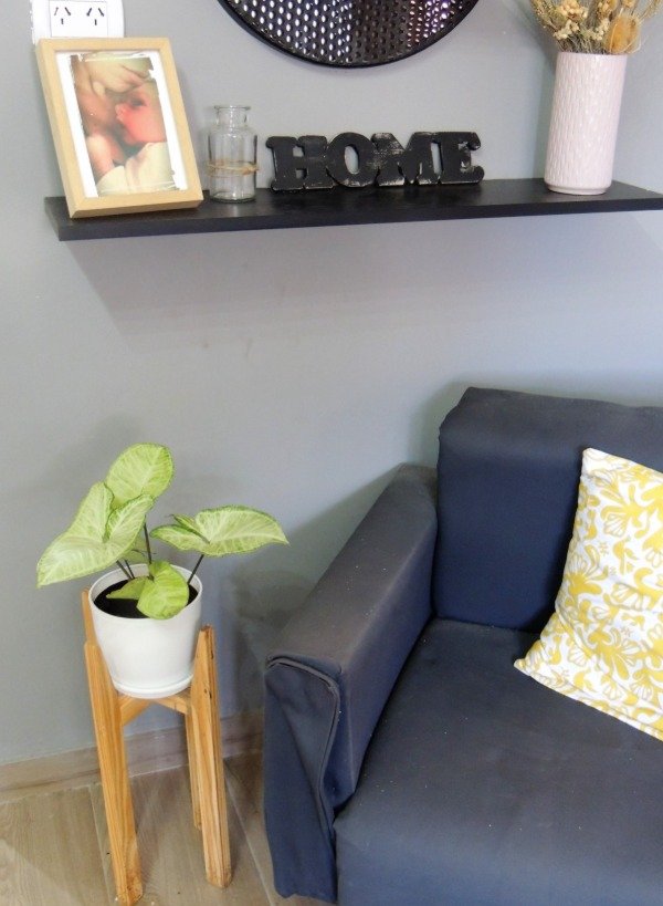 Producto - Syngonium p47