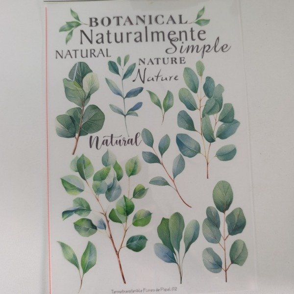 Producto - FDP 02 transfers