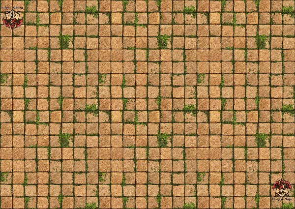 Producto - Dungeon 11 L