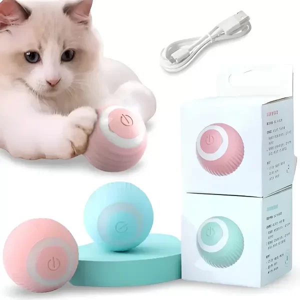 Producto - Pelota Chica Interactiva Recargable