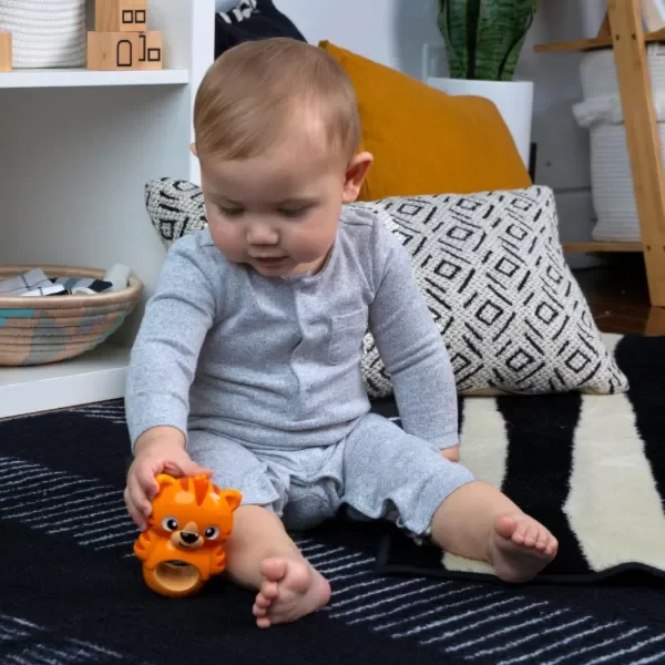Producto - Baby Einstein Teeth and  Wobble Tige