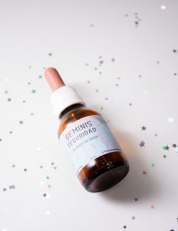 Producto - GEMINIS - SEGURIDAD -