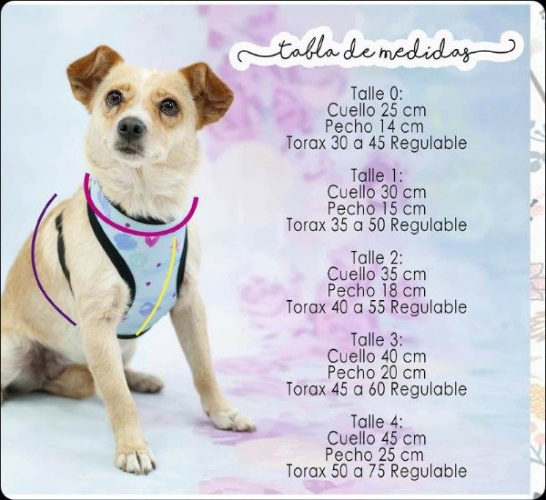 Imagen de producto - 5