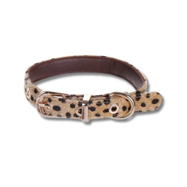 Producto - COLLAR GIMENEZ