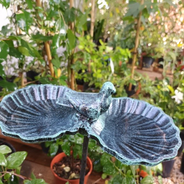 Producto - Bebedero de Aves Hierro Fundido - 2