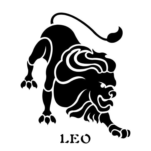 Producto - Leo 1