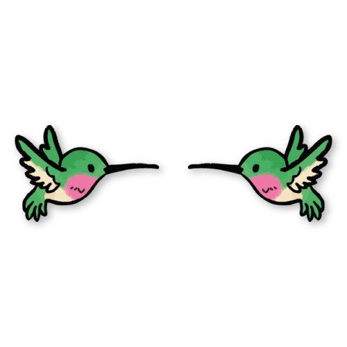 Producto - Aros pasantes - Colibri