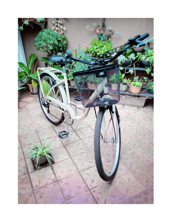 Producto - Bici MYG rodado 26 con cambios / Muy poco uso