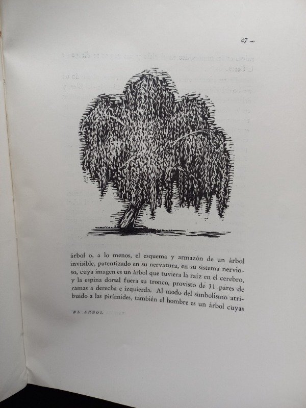 Producto - El Arbol folklore y leyendas - 5