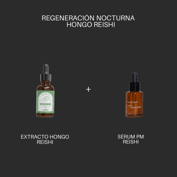 Producto - KIT REGENERACIÓN PM