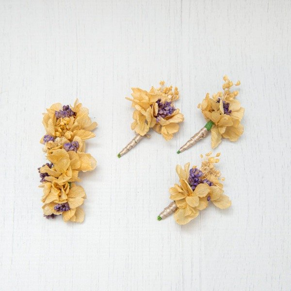 Producto - SET GAIA