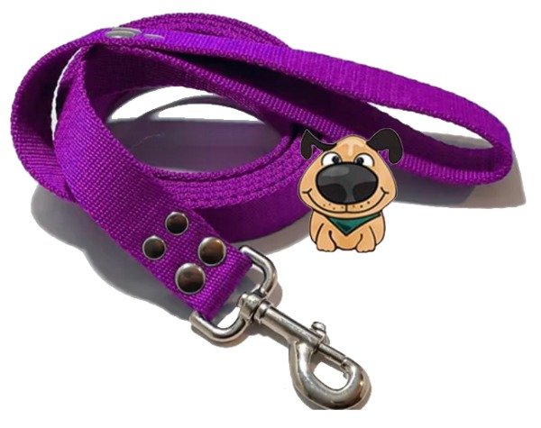 Producto - Correa de perro Urbana 2 mts  de largo  por 3 cm  de ancho reforzada - 4
