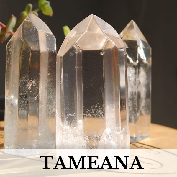 Producto - Tameana