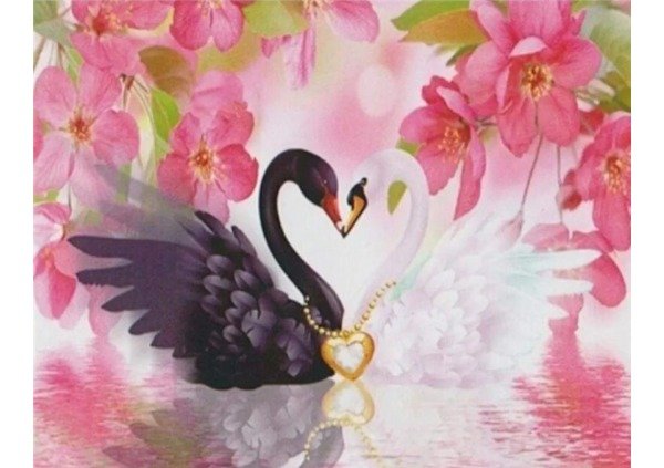 Producto - Diamond painting Cisnes 40x50cm