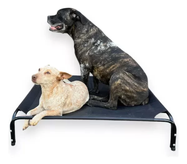 Producto - CATRE GRANDE PERROS TALLE L