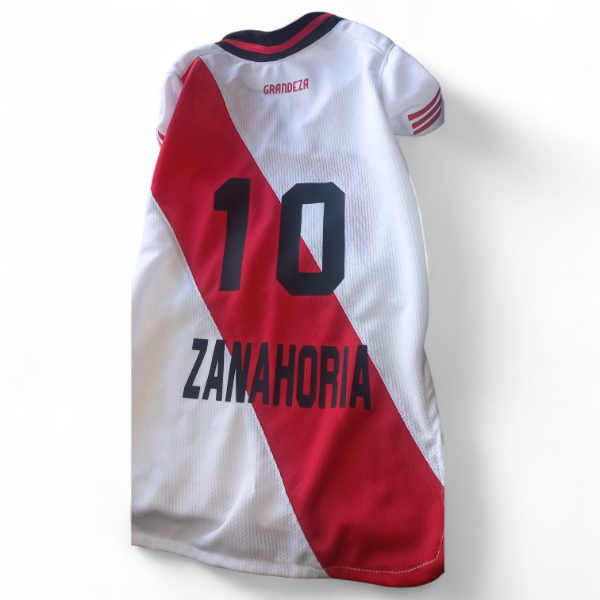 Producto - Camiseta River Plate para perros Salchicha por talles