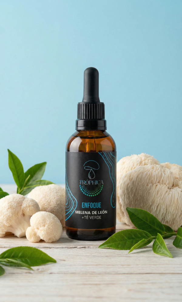 Producto - Combo Mental: Melena de León Pura y Enfoque - 1
