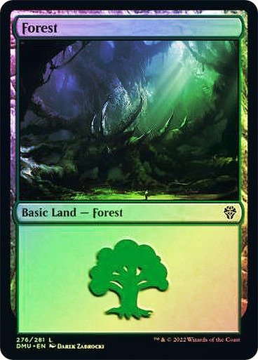 Producto - Forest 276 Foil  Dominaria United