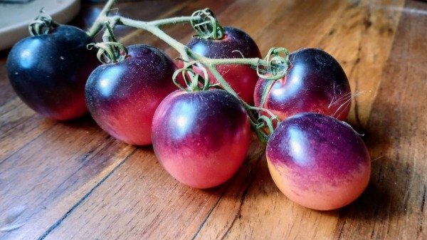 Producto - Tomate cherry blueberry