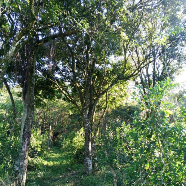 Producto - Cooperativa La Abundancia