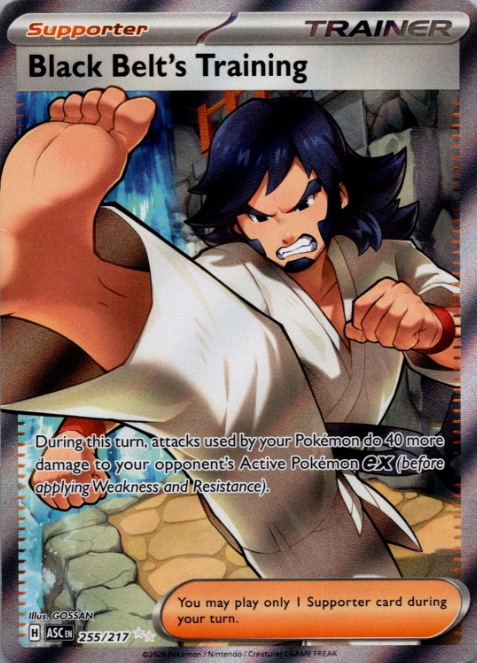 Producto - Black Belt's Training (255/217) [Mega Evolution: Ascended Heroes]