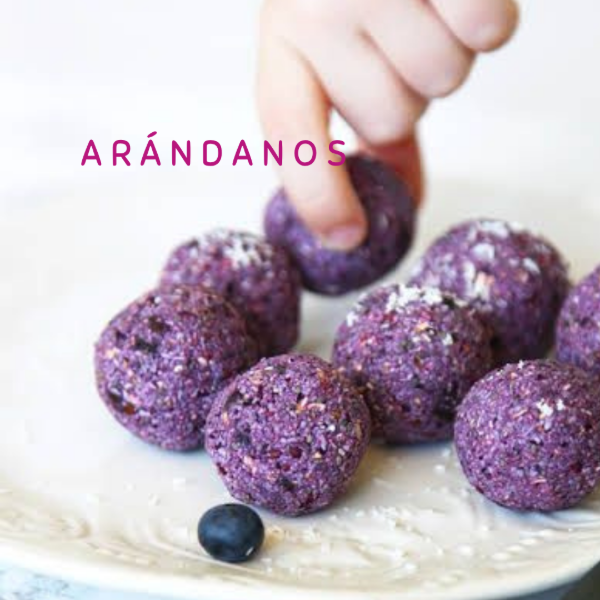 Producto - TRUFAS DE ARÁNDANOS