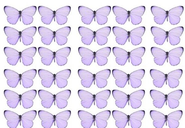 Producto - LAMINA MARIPOSA LILA 4