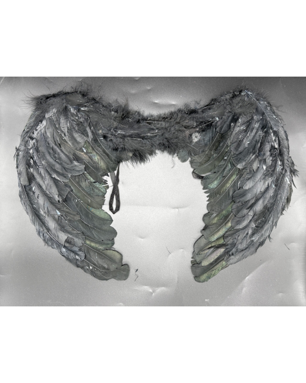 Producto - Ala Angelita C/Plumas 60x45cm