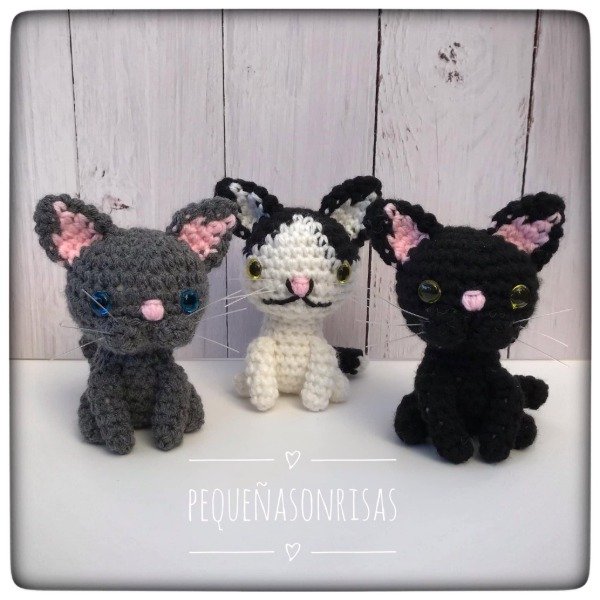 Producto - Gatos - 9