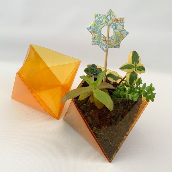 Producto - Macetas plegadas sin planta - 1