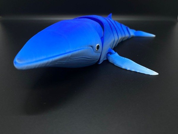 Producto - Ballena Azul