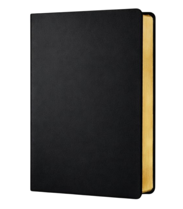 Producto - BIBLIA DE ESTUDIO RENOVARÉ RVR