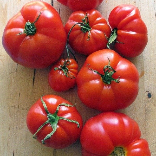 Producto - Semillas De Tomate Marmande Solanum Lycopersicum - 1