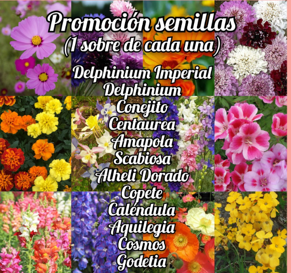Producto - Promoción Semillas
