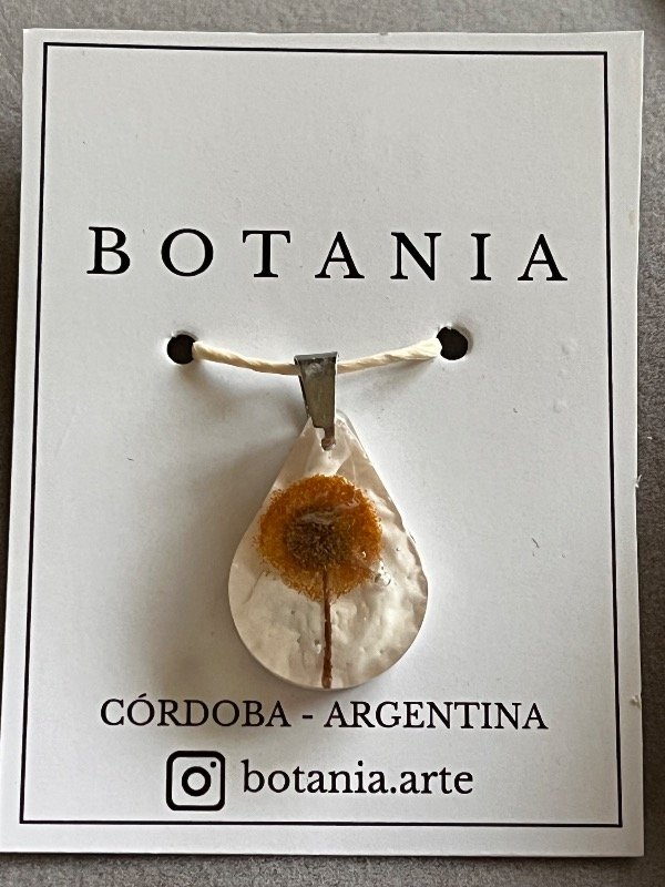 Producto - Variedad 21 espinillo