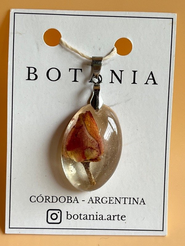 Producto - Variedad 5 rosa