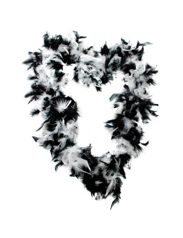 Producto - BOA DE PLUMAS